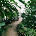 Innovatieve oplossingen voor automatisering in glastuinbouw en watertechnieken