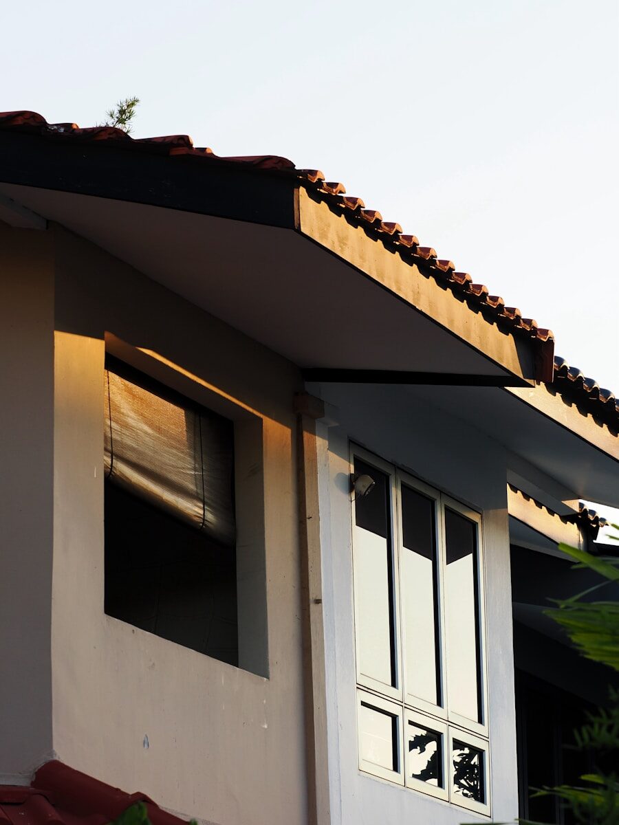Close-up of a house roof and windows